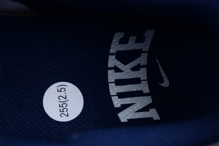 nike dunk low summit white midnight navy fd9749-400